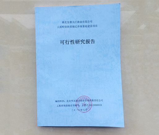 宜昌可行性研究报告