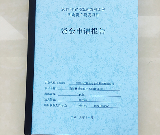 资金申请报告
